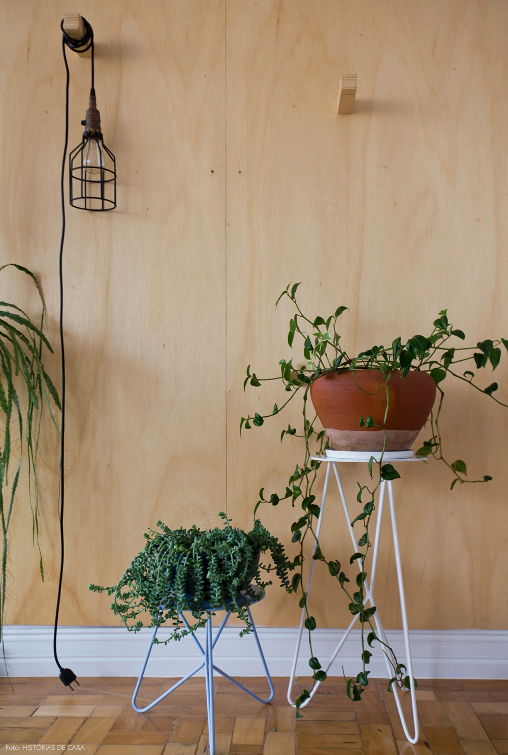 02-decoracao-plantas-em-apartamento-suporte-selvvva-madeira