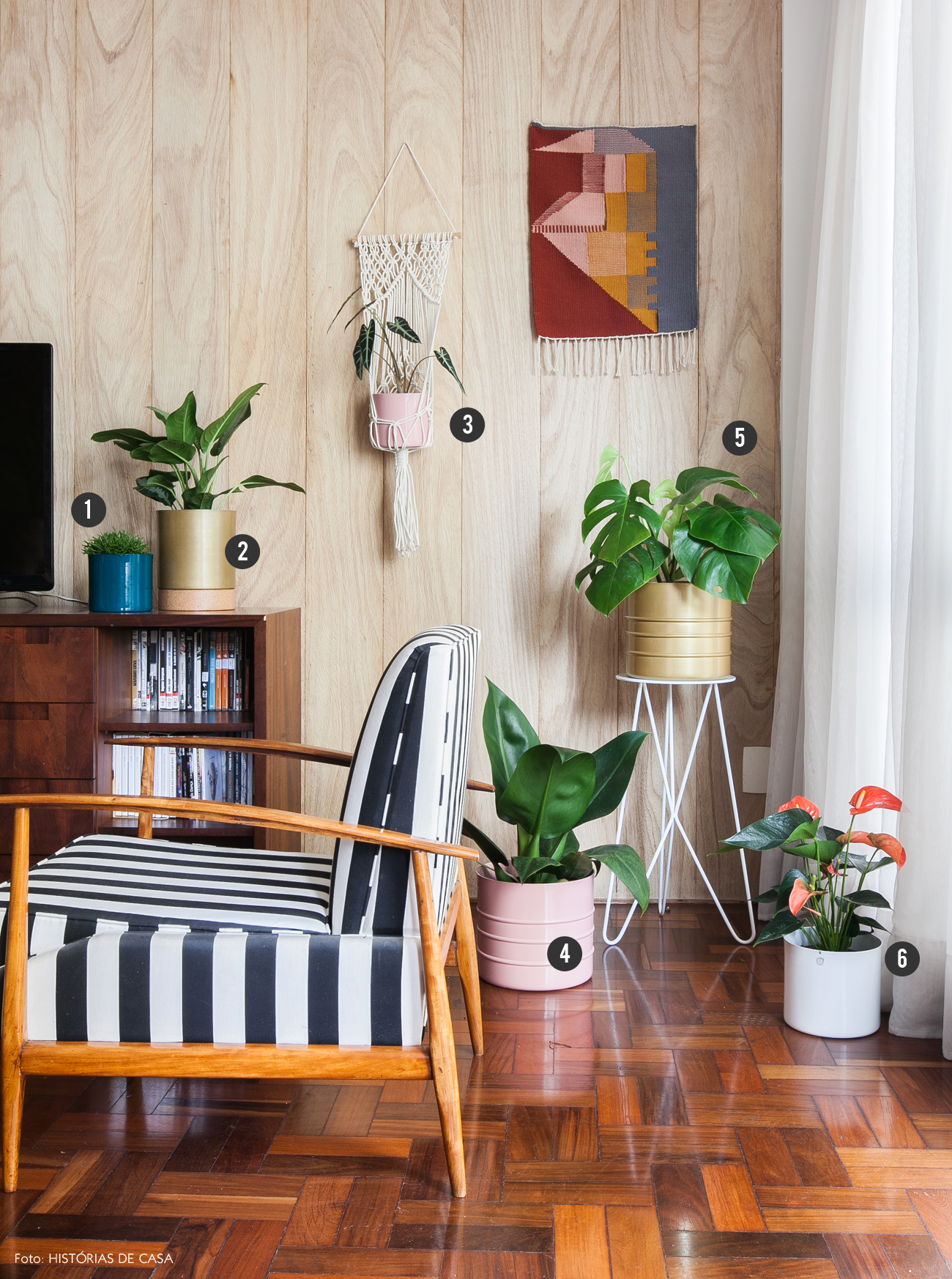 Plantas para dentro de casa ou ambientes internos | Histórias de Casa