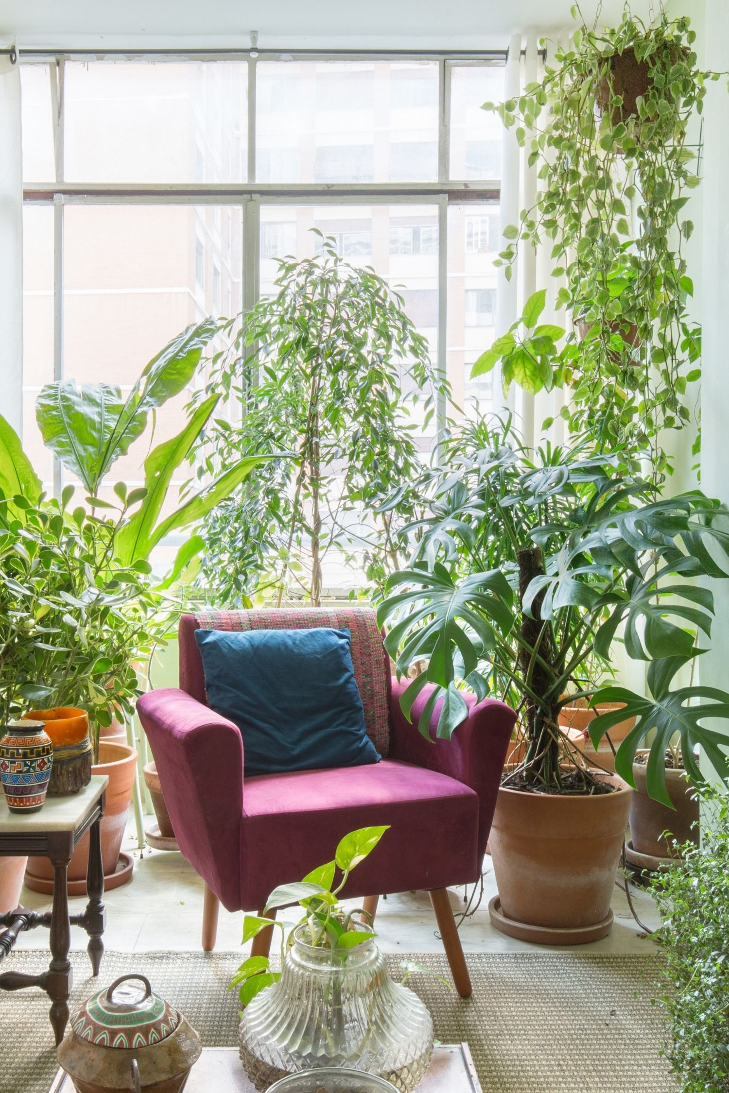 Urban Jungle: Entenda a mania das plantas no espaço - Tabulla